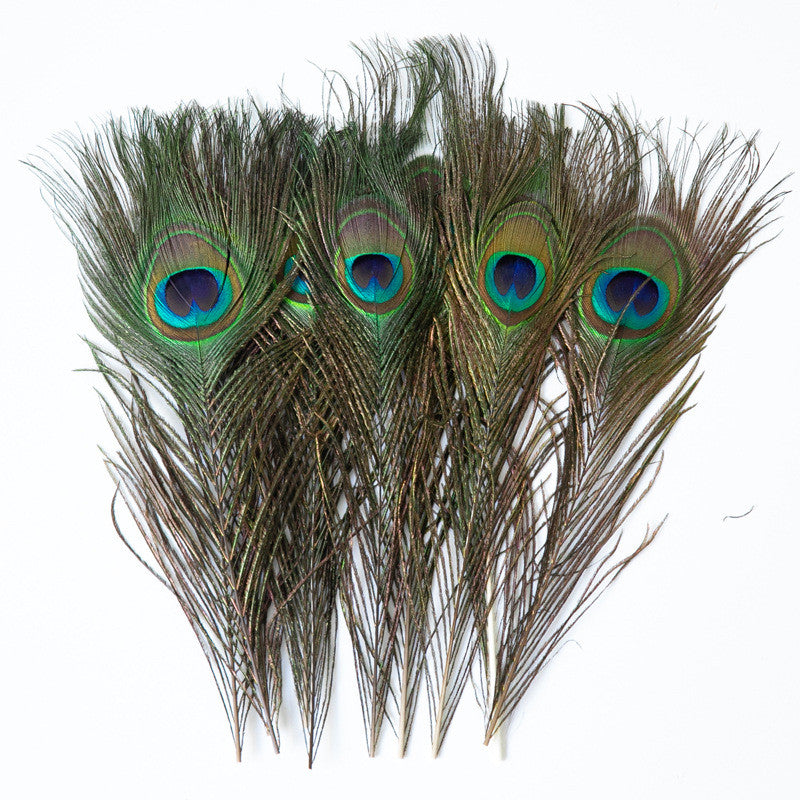 Kitty Feathers