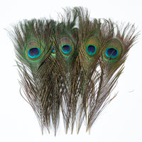 Kitty Feathers