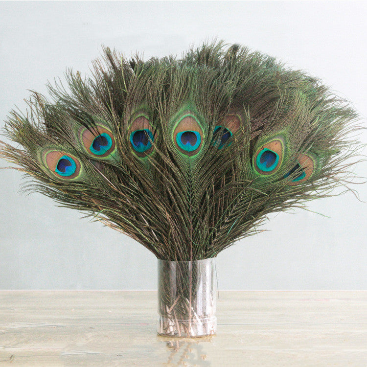 Kitty Feathers