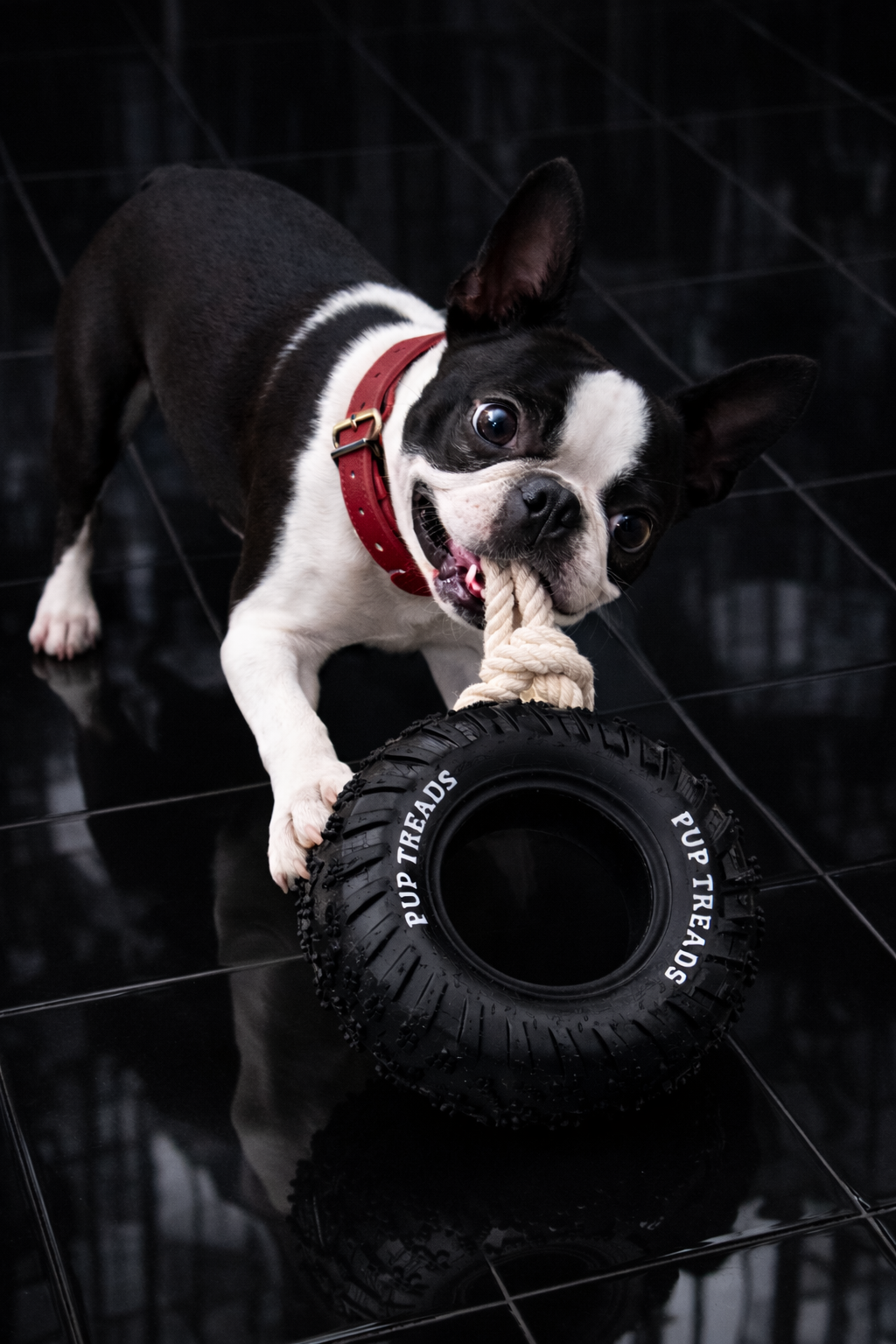 The Good Grip